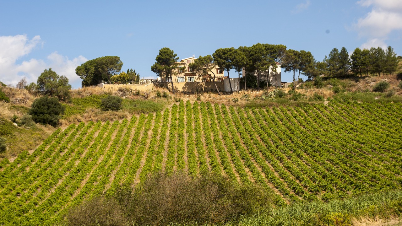 Photo of Outdoor in Santa Ninfa