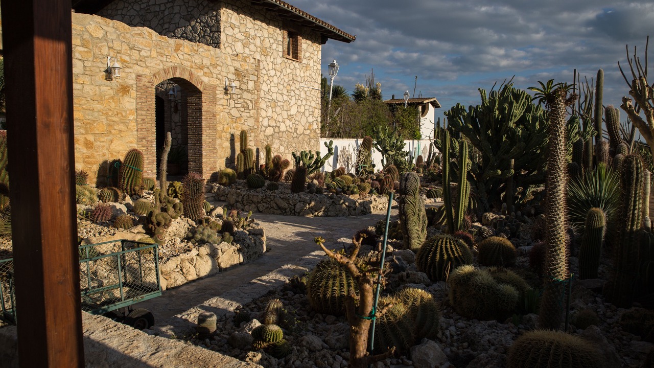 Photo of Outdoor in Favara
