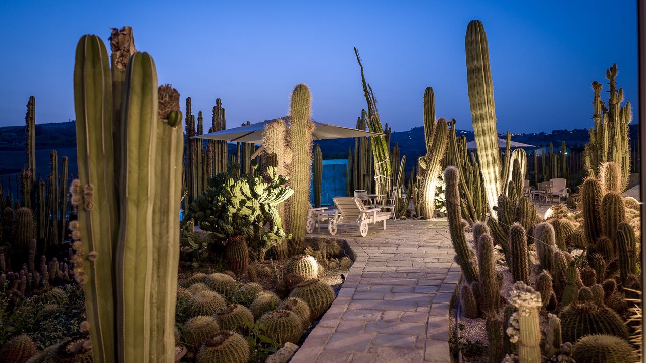 Photo of Outdoor in Favara