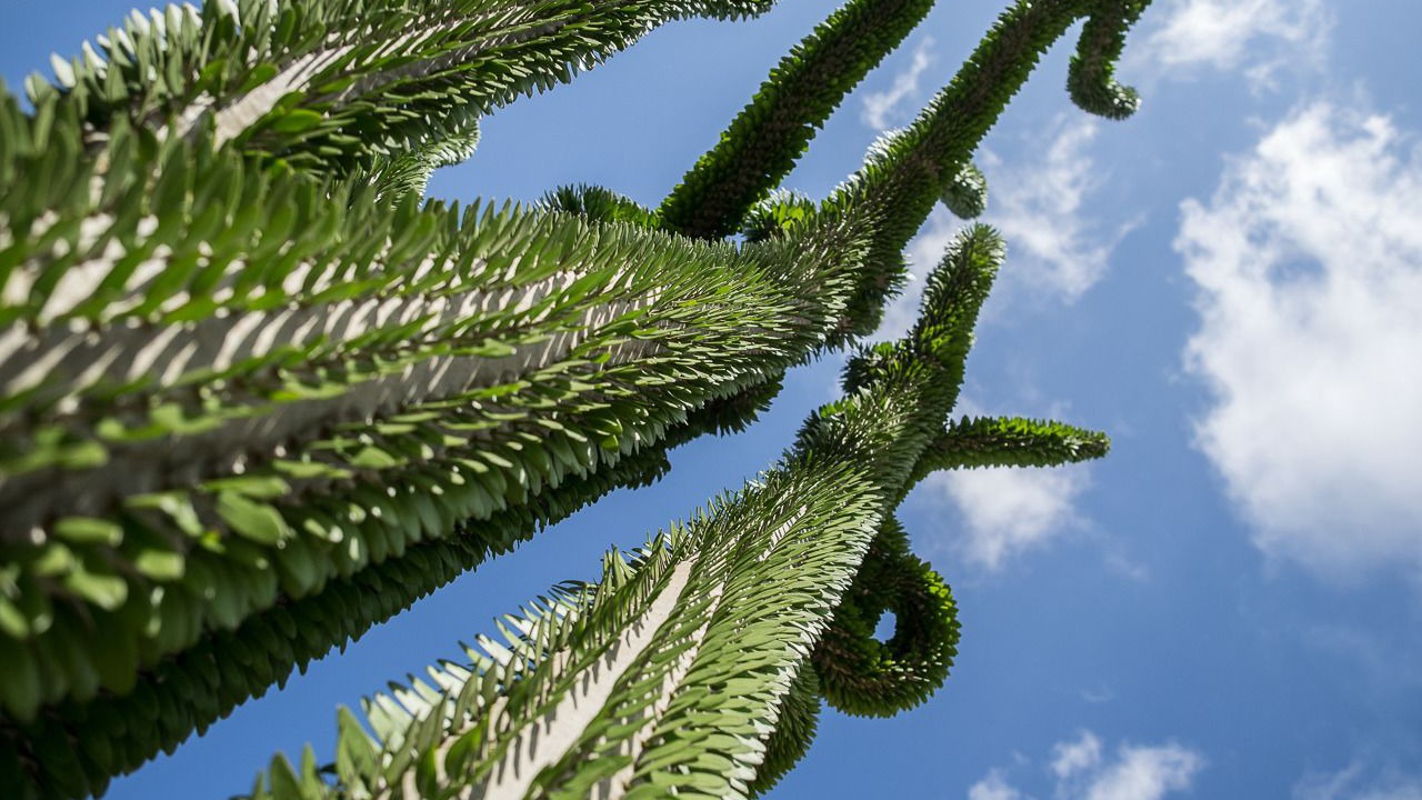Photo of Outdoor in Favara