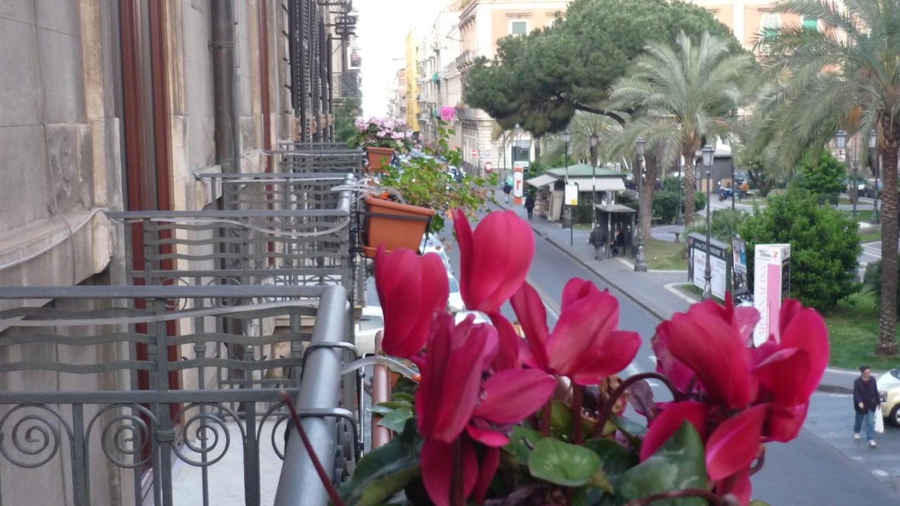Photo of Patio Balcony in Picanello-Ognina-Barriera-Canalicchio