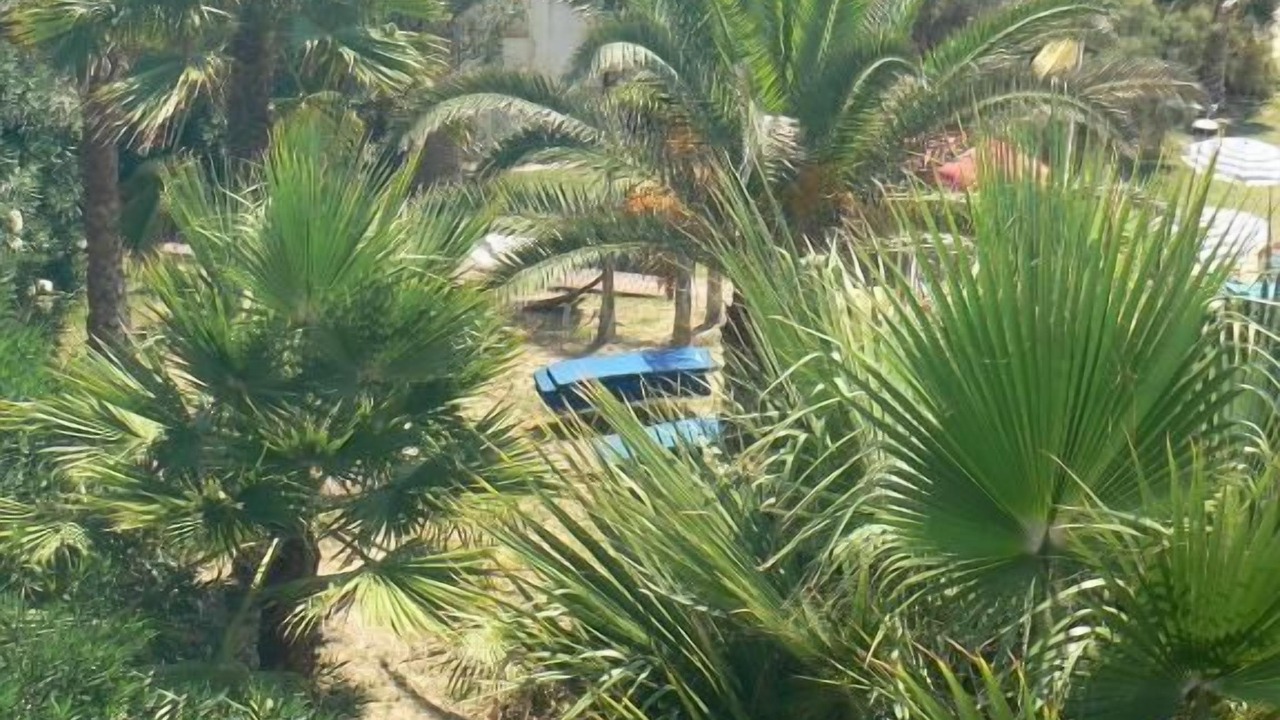 Photo of Outdoor in Scoglitti