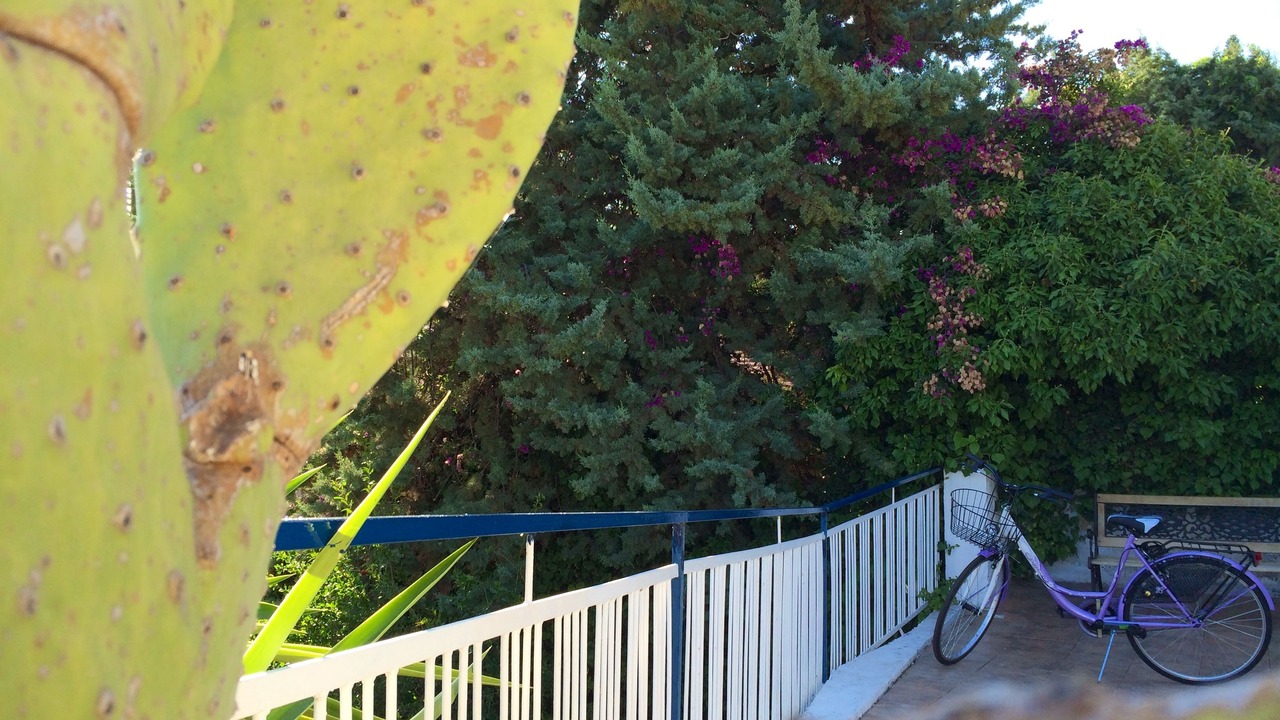Photo of Outdoor in Casteldaccia