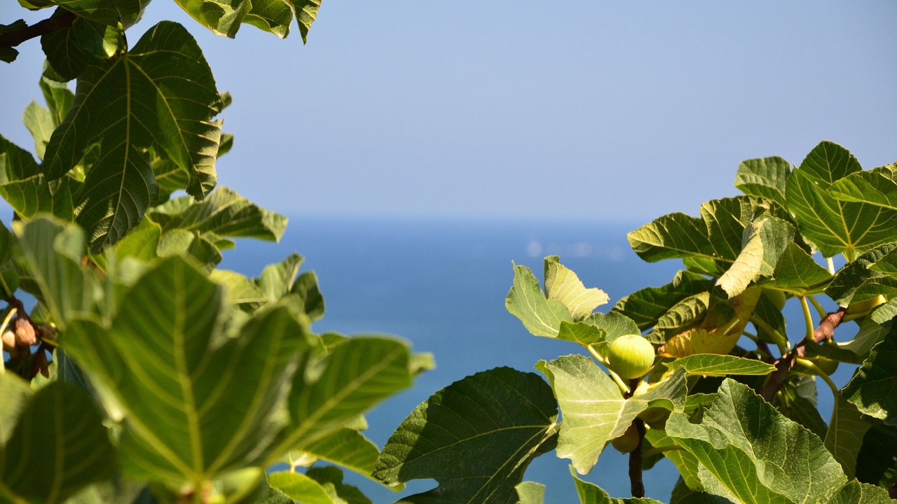 Photo of Outdoor in Casteldaccia