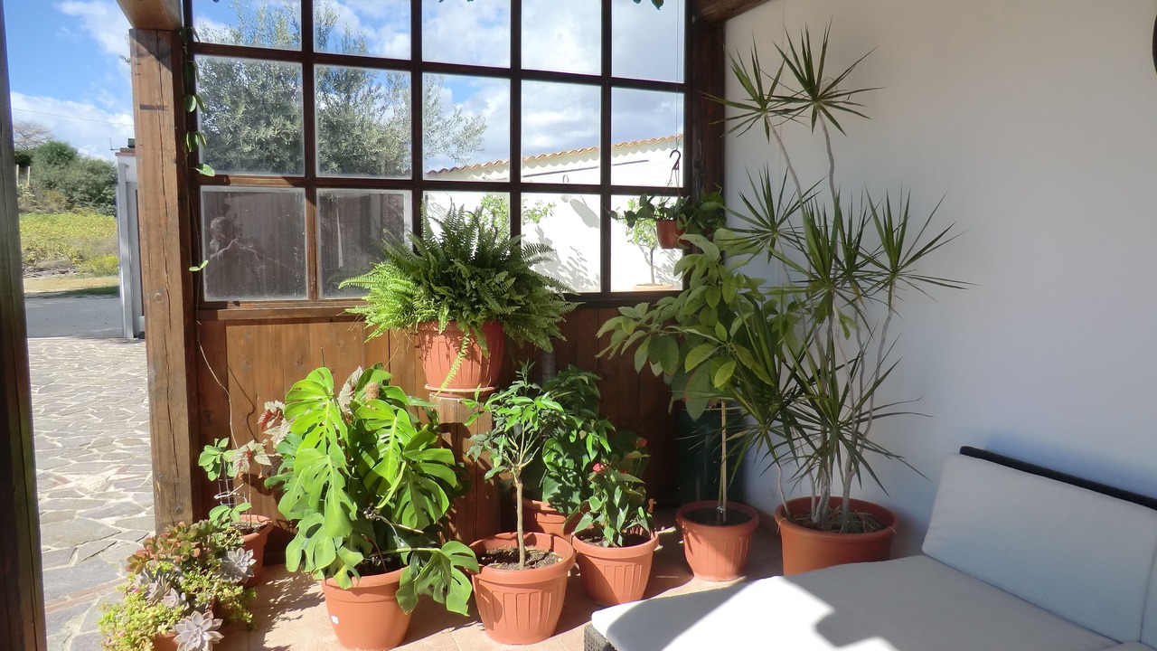 Photo of Outdoor in Palma di Montechiaro