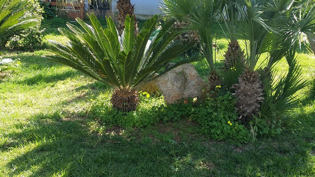 Photo of Outdoor in Pescazze