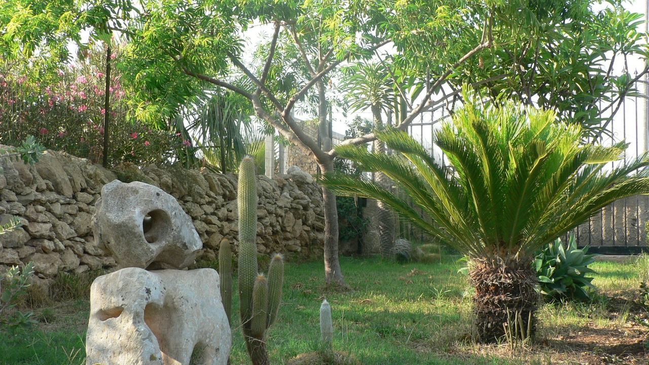 Photo of Outdoor in Pescazze