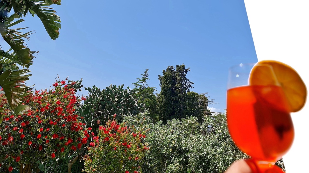 Photo of Outdoor in Torre Colonna-sperone