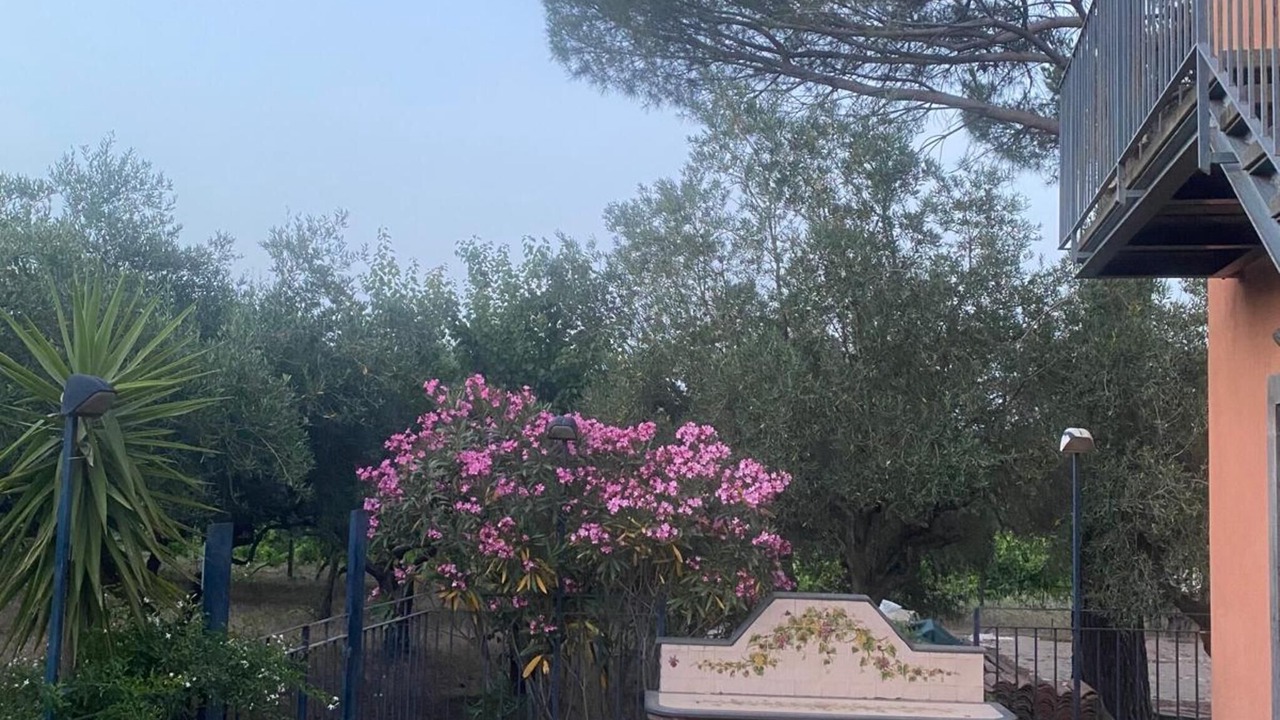 Photo of Outdoor in Linguaglossa