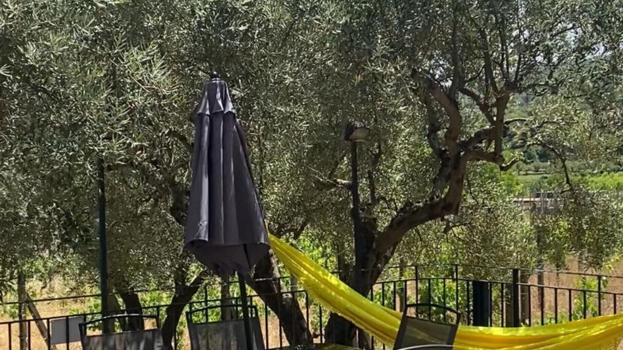 Photo of Outdoor in Linguaglossa