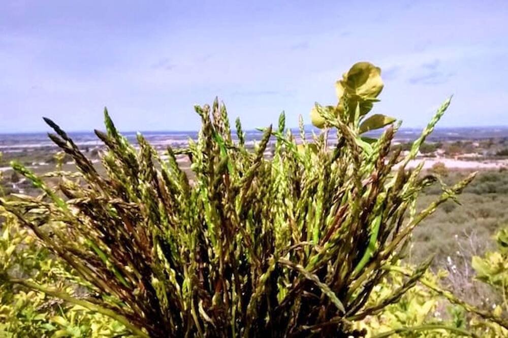 Photo of Outdoor in Chiaramonte Gulfi