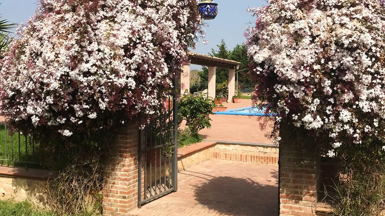 Photo of Outdoor in Grammichele