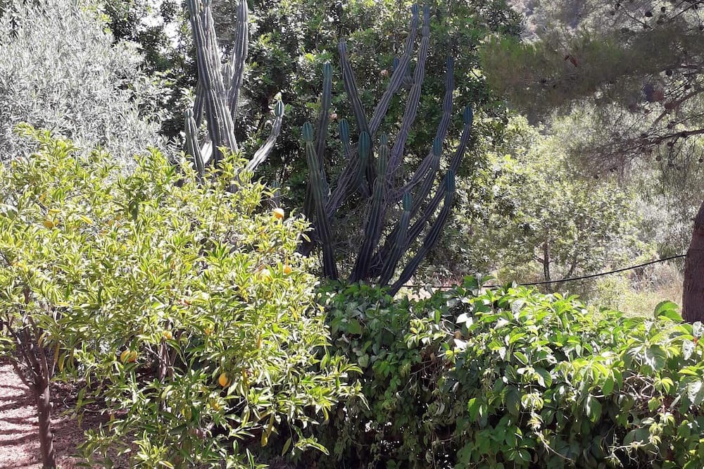 Photo of Outdoor in Motta Camastra