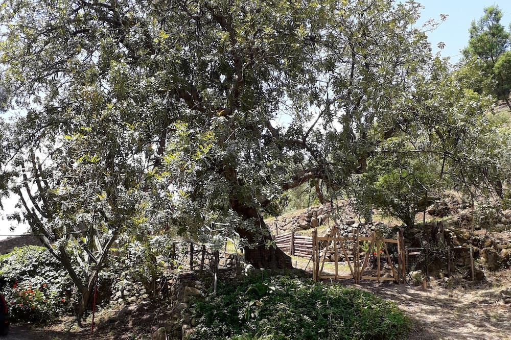 Photo of Outdoor in Motta Camastra