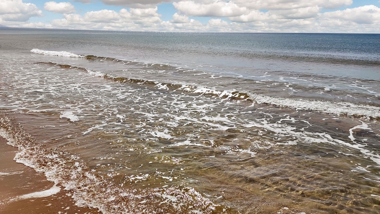 Photo of Others in Triscina