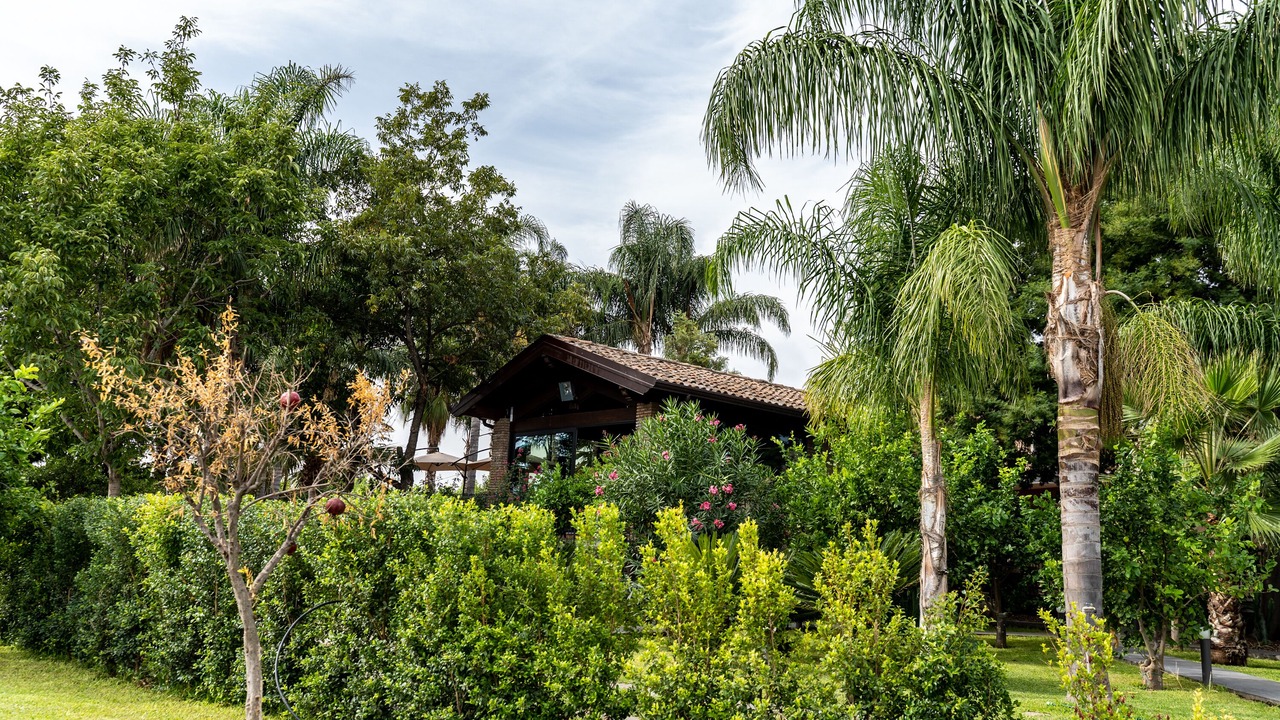 Photo of Outdoor in Giarre