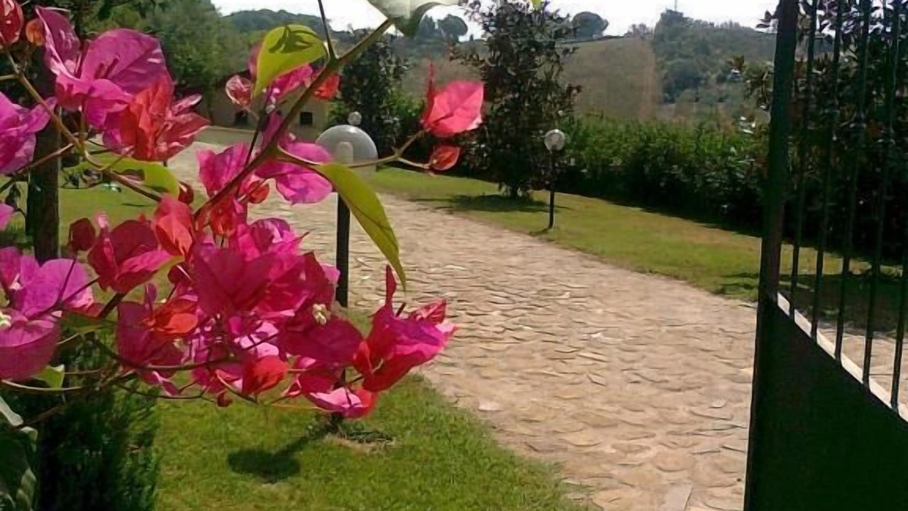 Photo of Outdoor in Altavilla Silentina