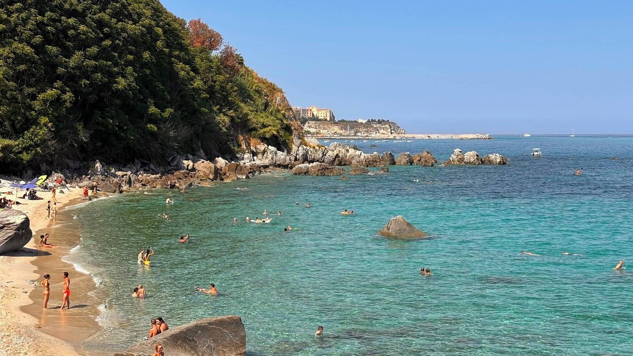Photo of Others in Parghelia