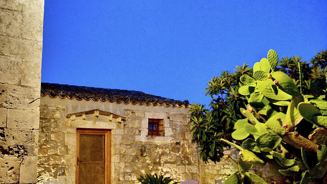 Photo of Others in Noto