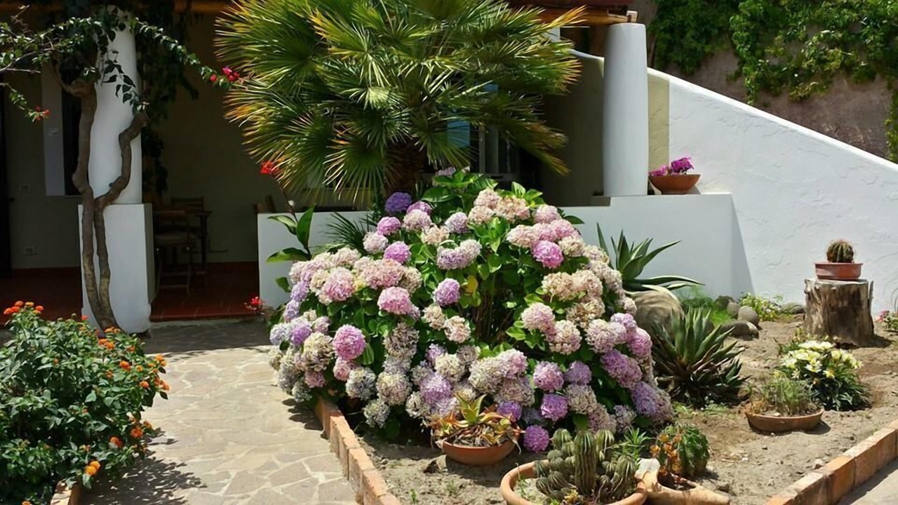 Photo of Outdoor in Lipari Historic Centre