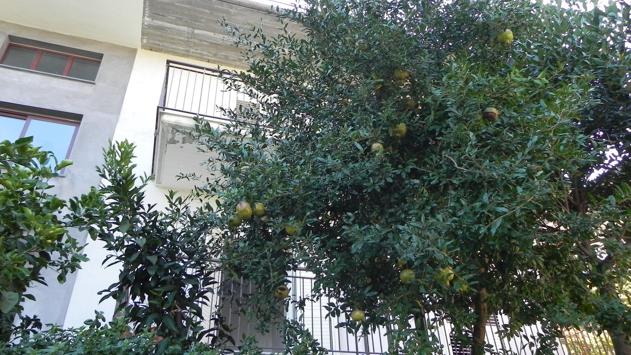 Photo of Bedroom in Rovittello