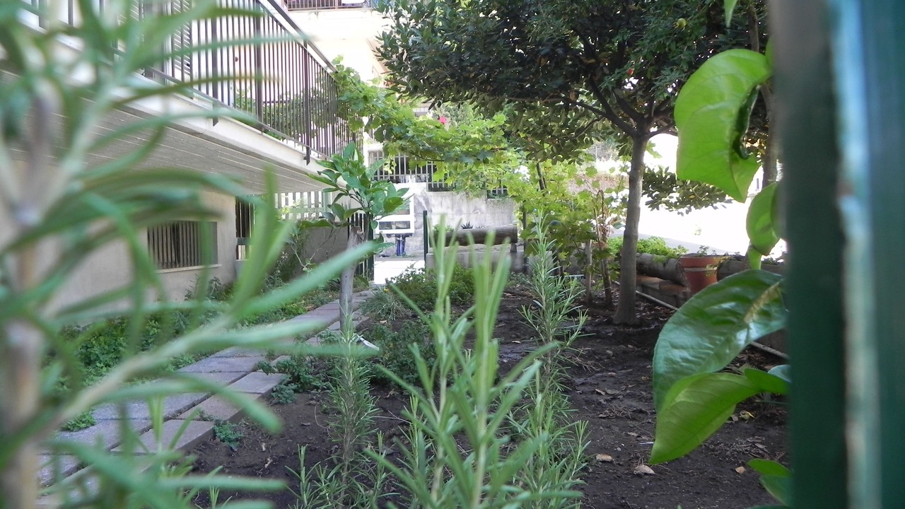 Photo of Others in Rovittello