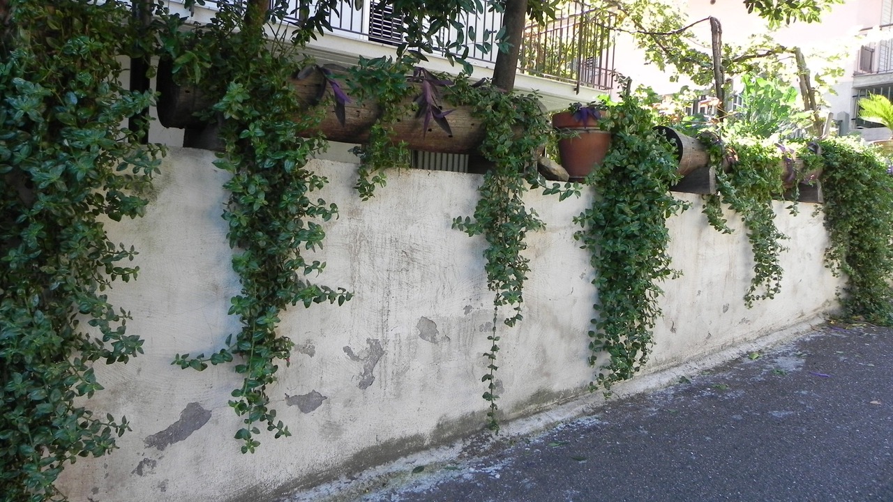 Photo of Outdoor in Rovittello
