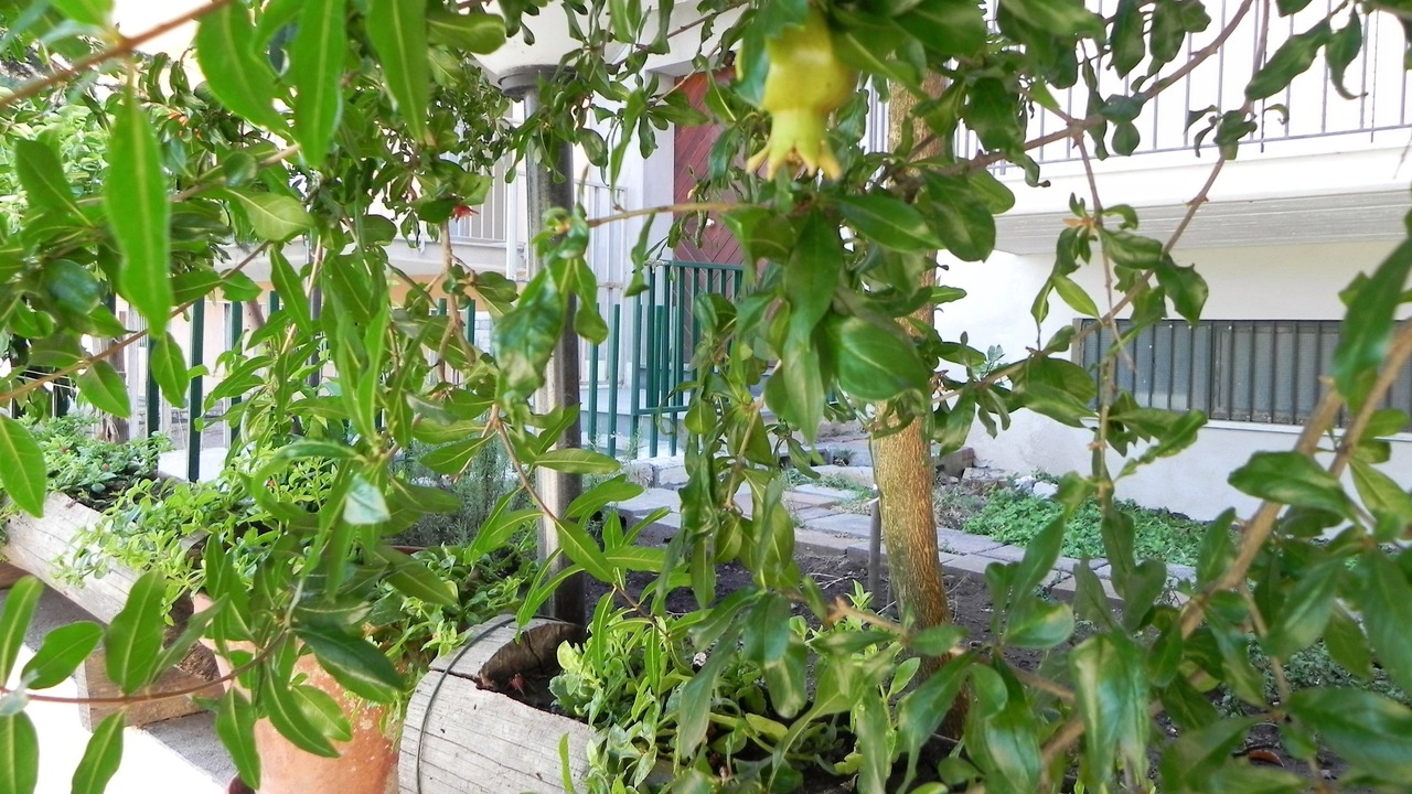 Photo of Others in Rovittello