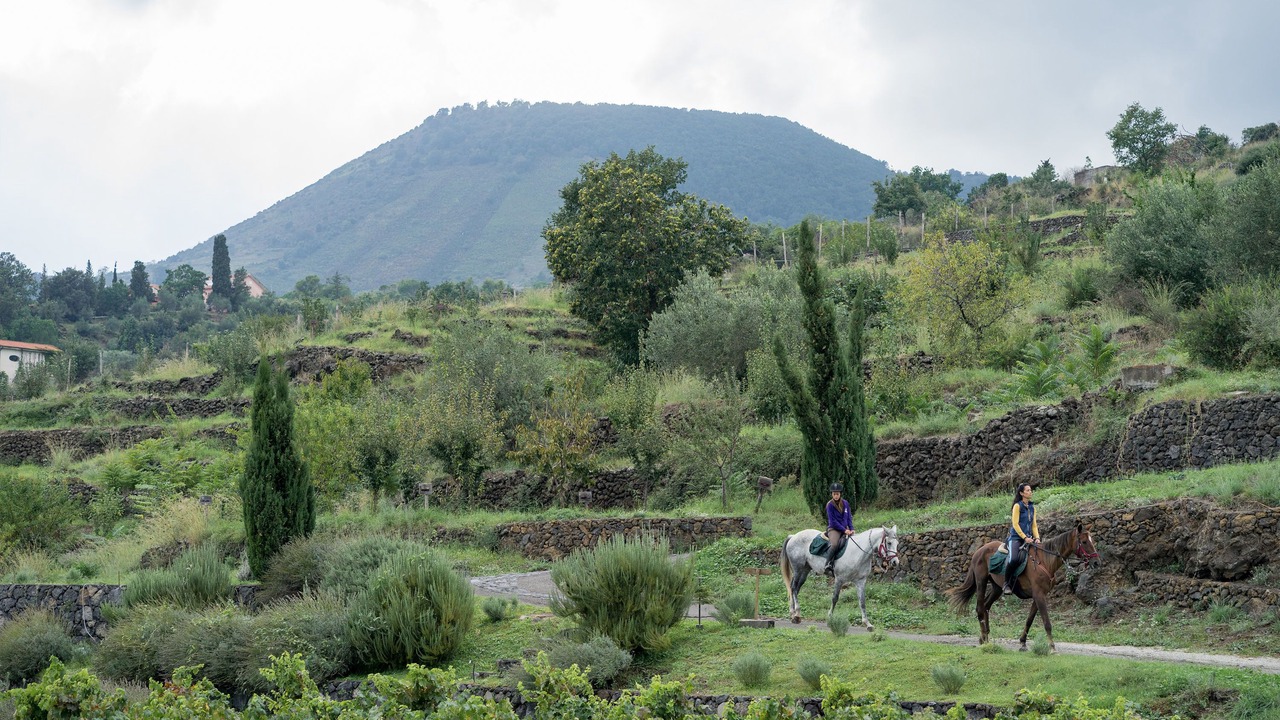 Photo of Others in Zafferana Etnea