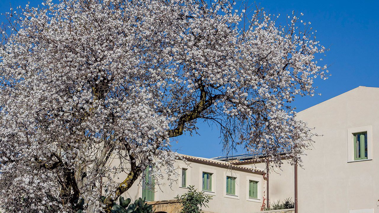 Photo of Outdoor in Aragona