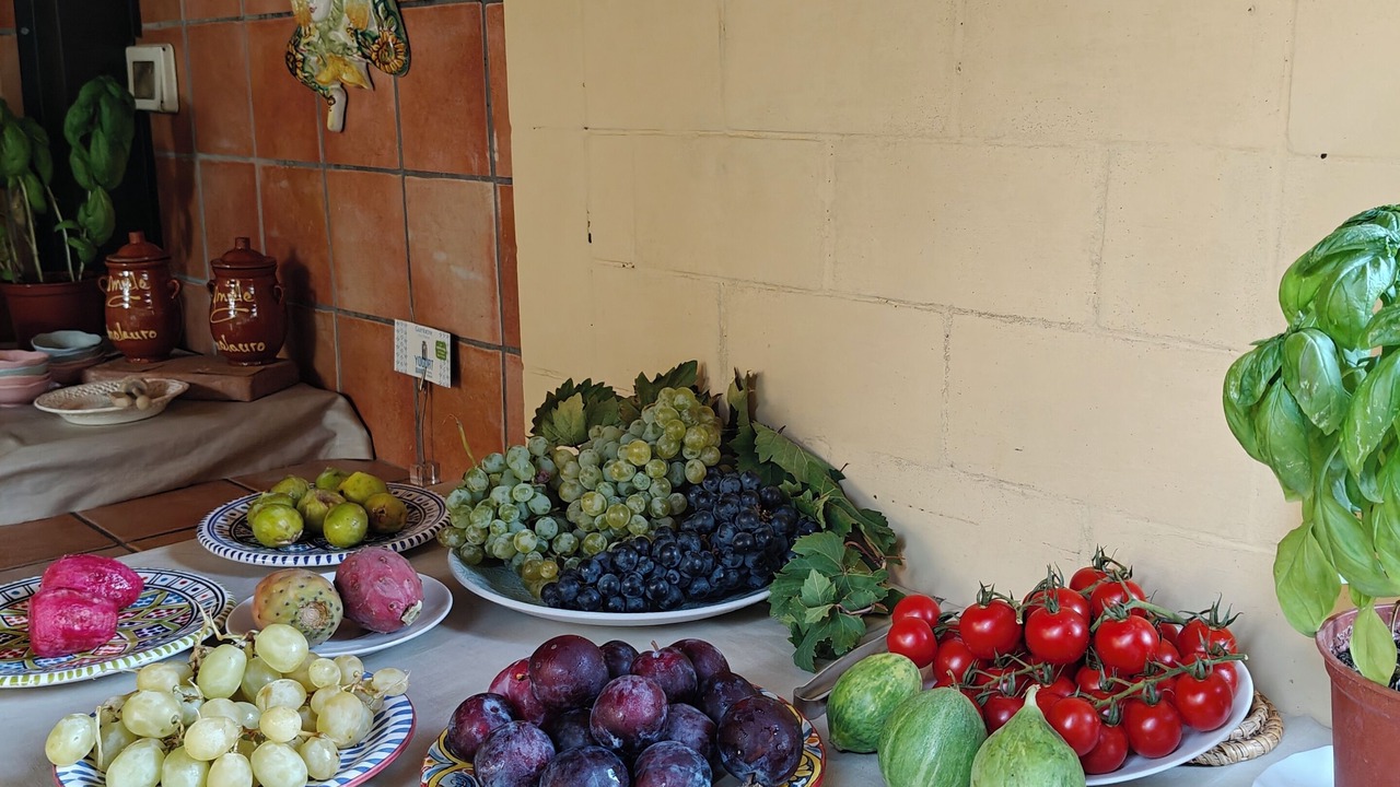 Photo of Others in San Leone