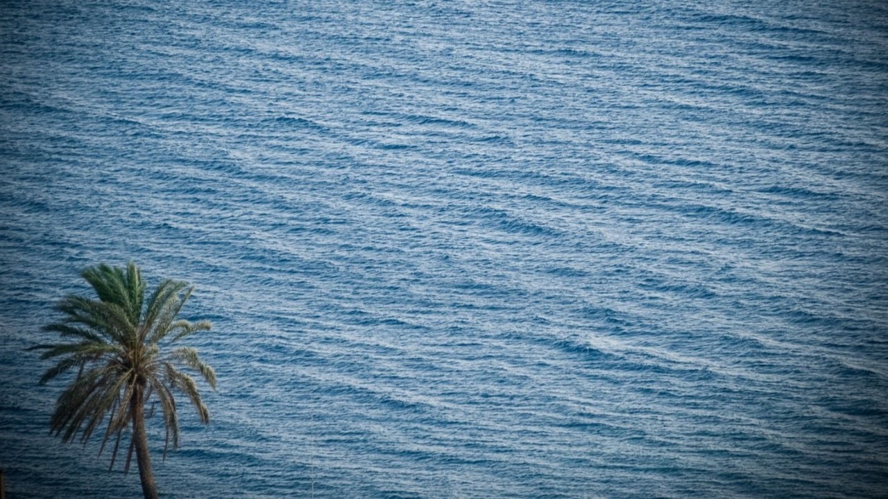 Photo of Others in Pantelleria