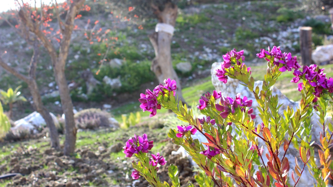 Photo of Outdoor in Porto Empedocle