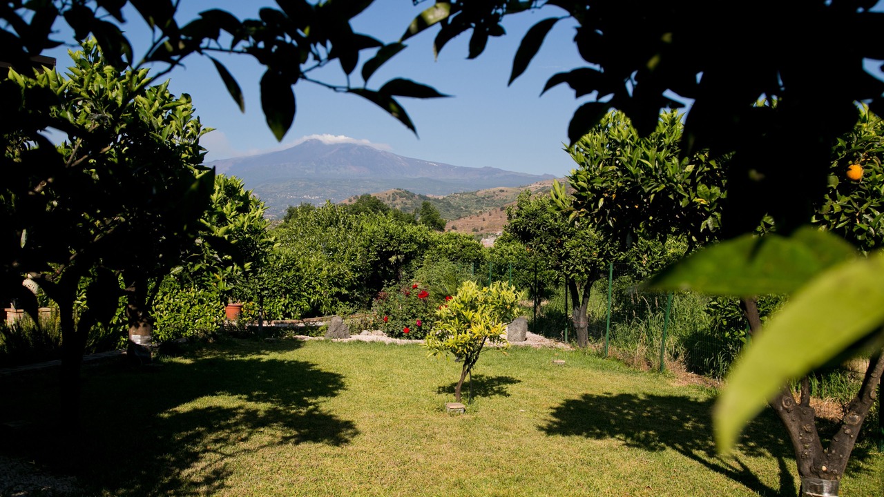 Photo of Outdoor in Trappitello