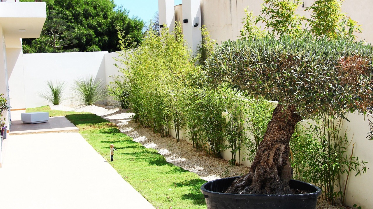 Photo of Outdoor in Favignana
