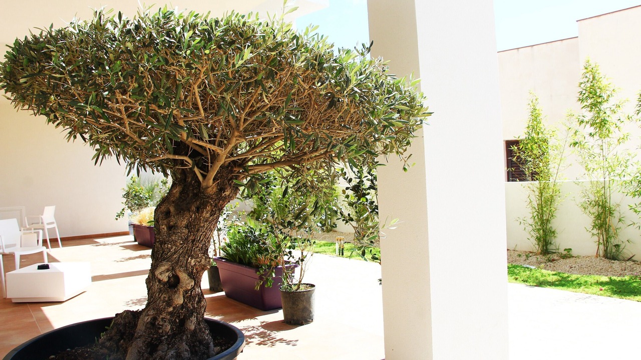 Photo of Outdoor in Favignana