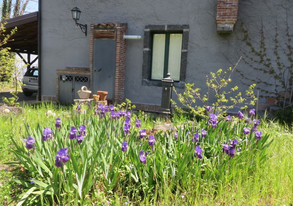 Photo of Outdoor in Fornazzo