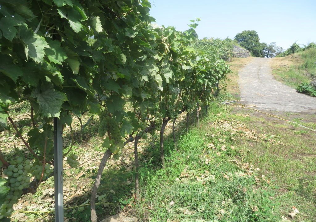 Photo of Outdoor in Fornazzo