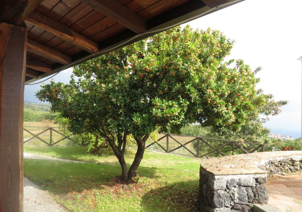 Photo of Outdoor in Fornazzo