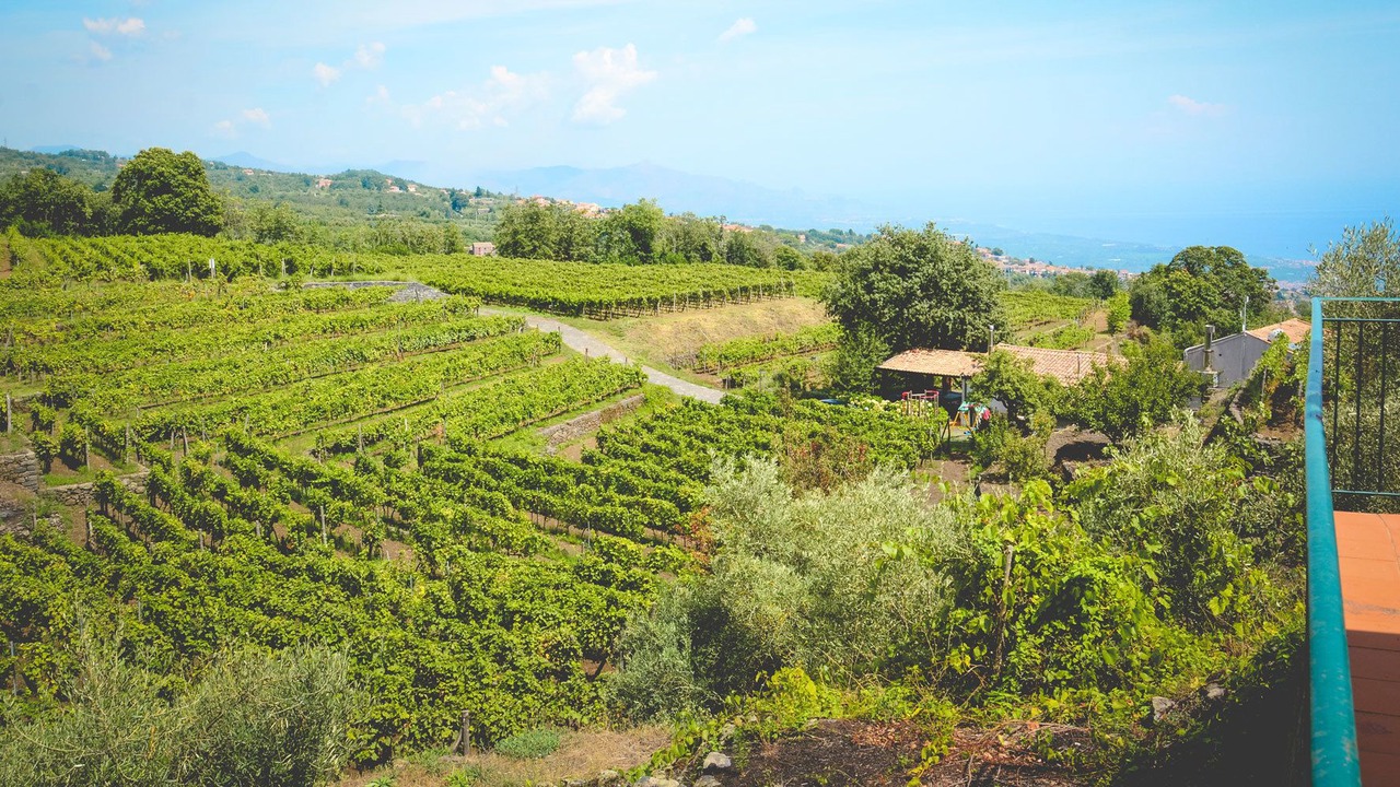 Photo of Outdoor in Fornazzo