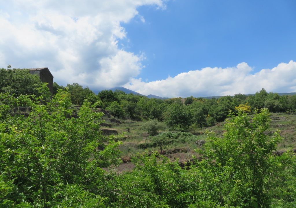 Photo of Outdoor in Fornazzo