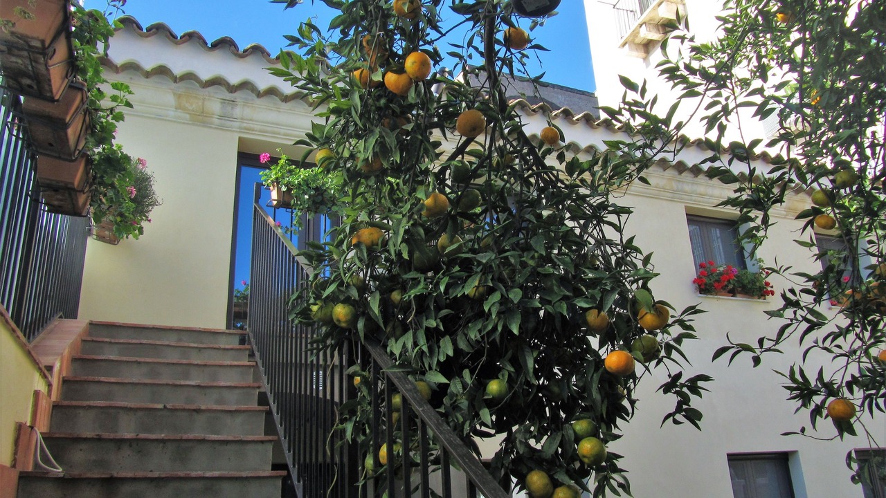Photo of Outdoor in Acireale