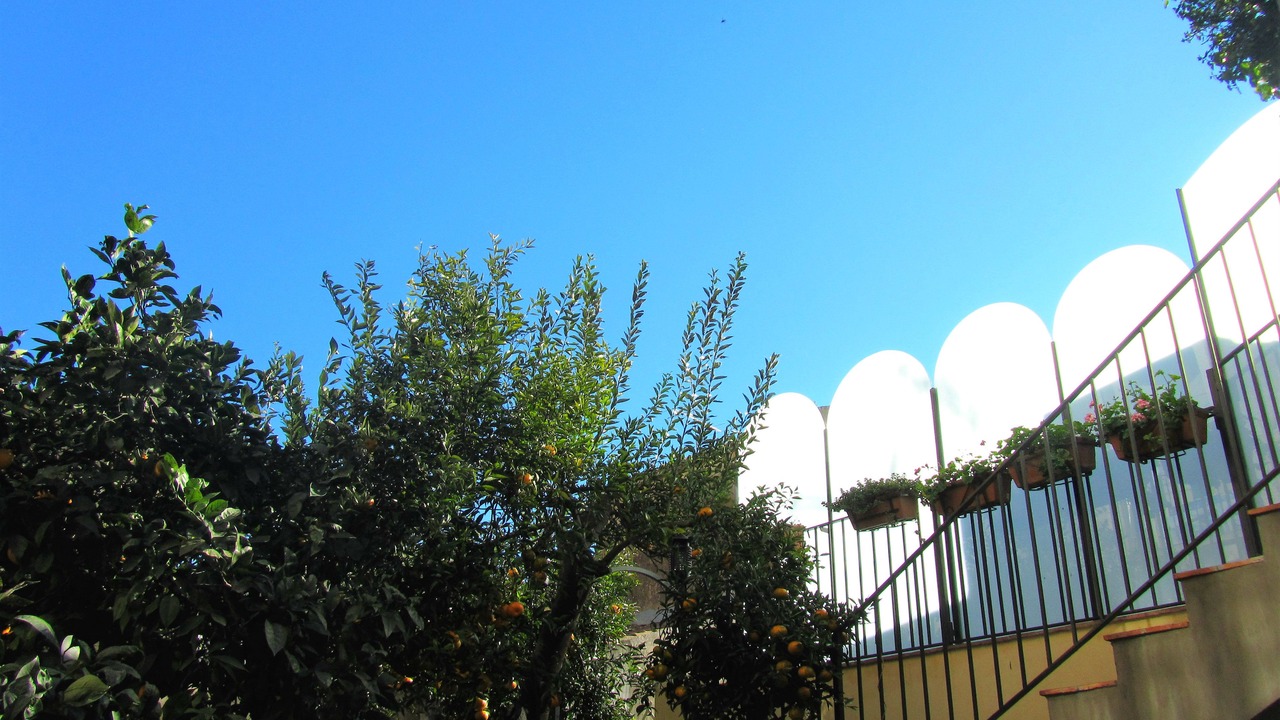 Photo of Others in Acireale