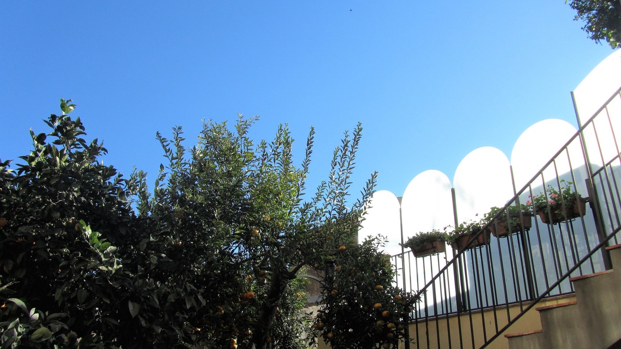 Photo of Outdoor in Acireale