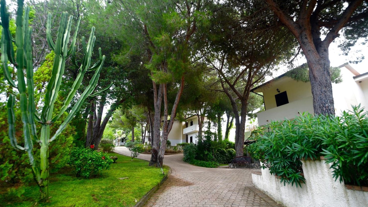 Photo of Outdoor in Santa Maria