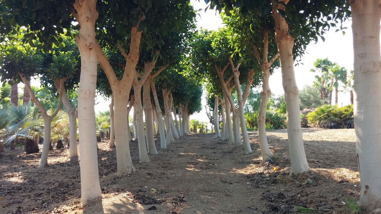 Photo of Outdoor in Agrigento