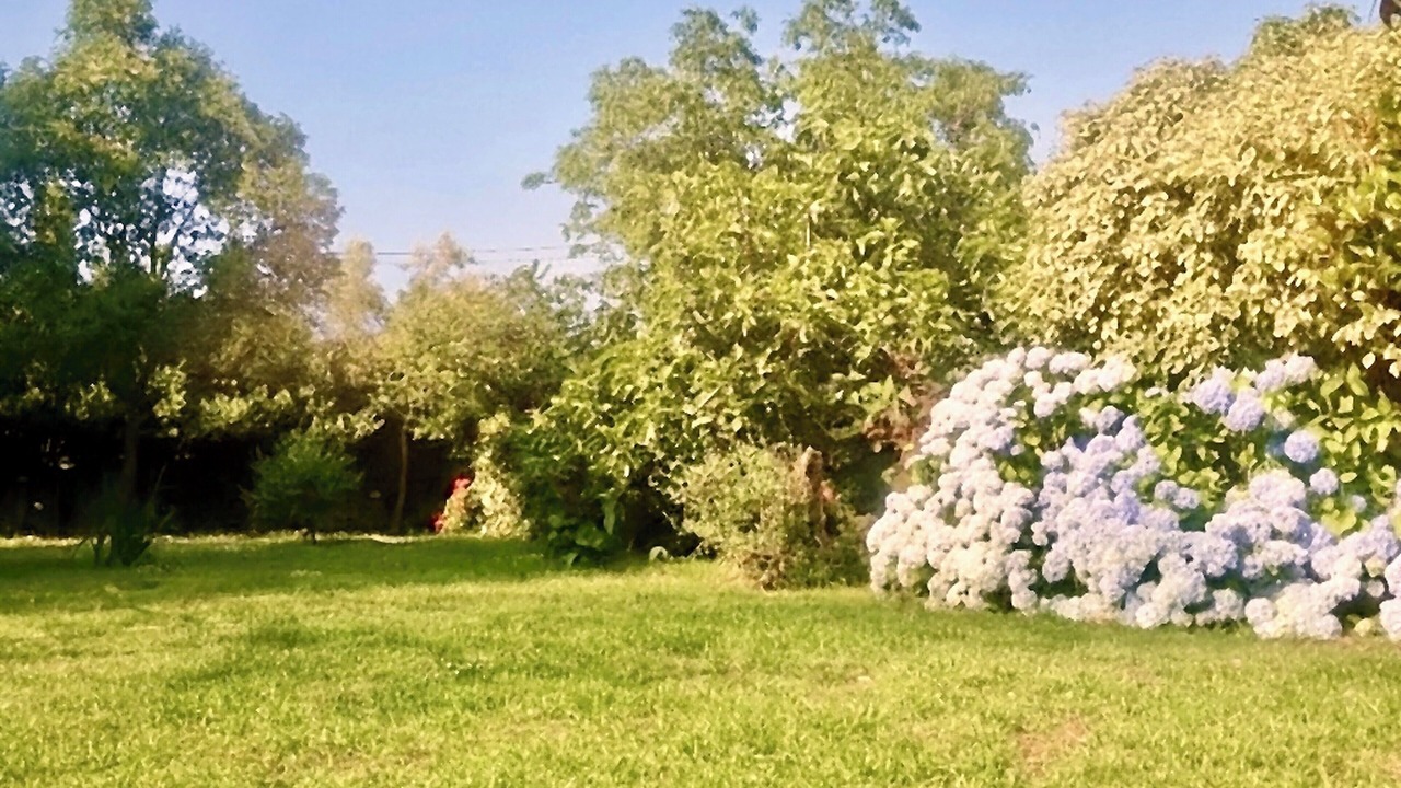 Photo of Outdoor in Milo