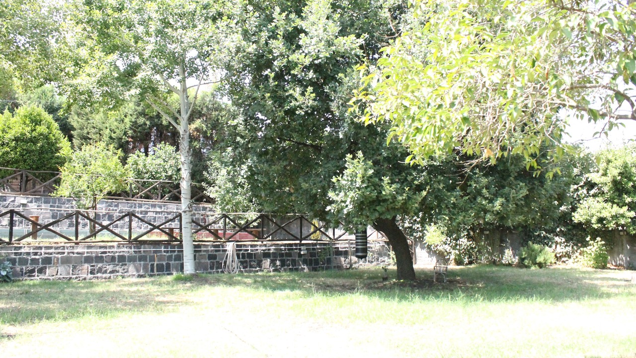 Photo of Outdoor in Milo