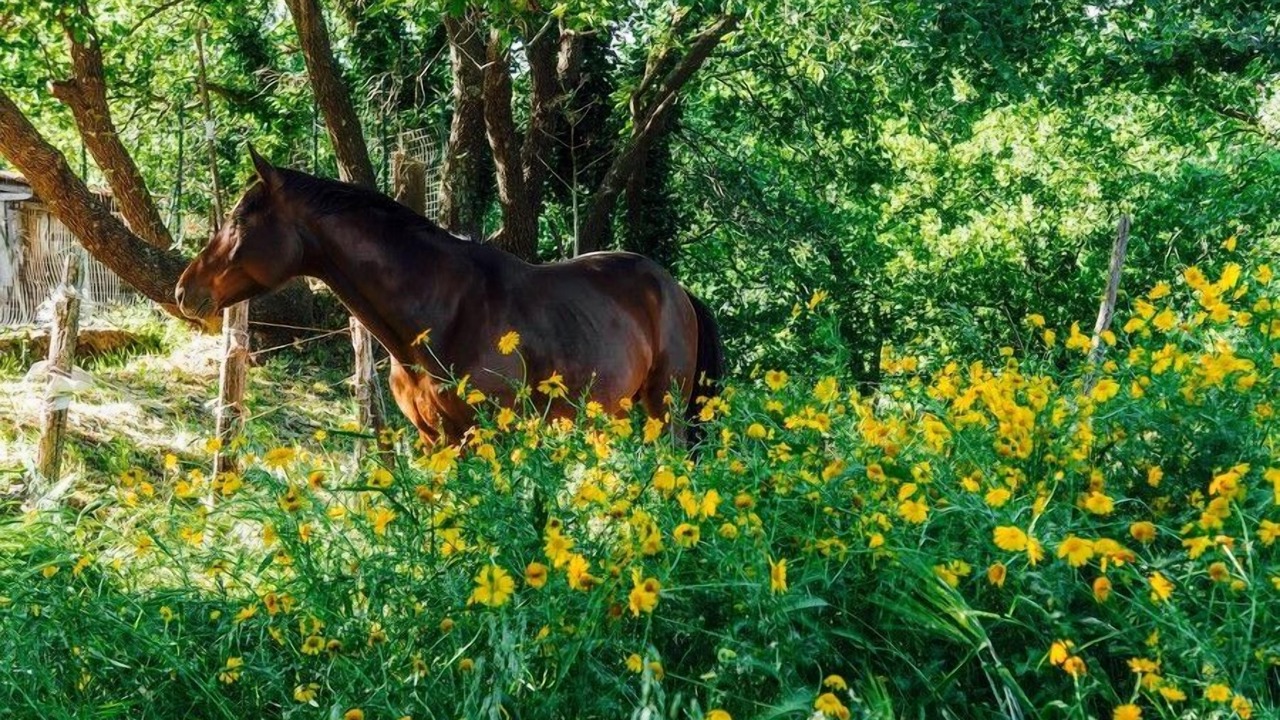 Photo of Outdoor in Piedimonte Etneo