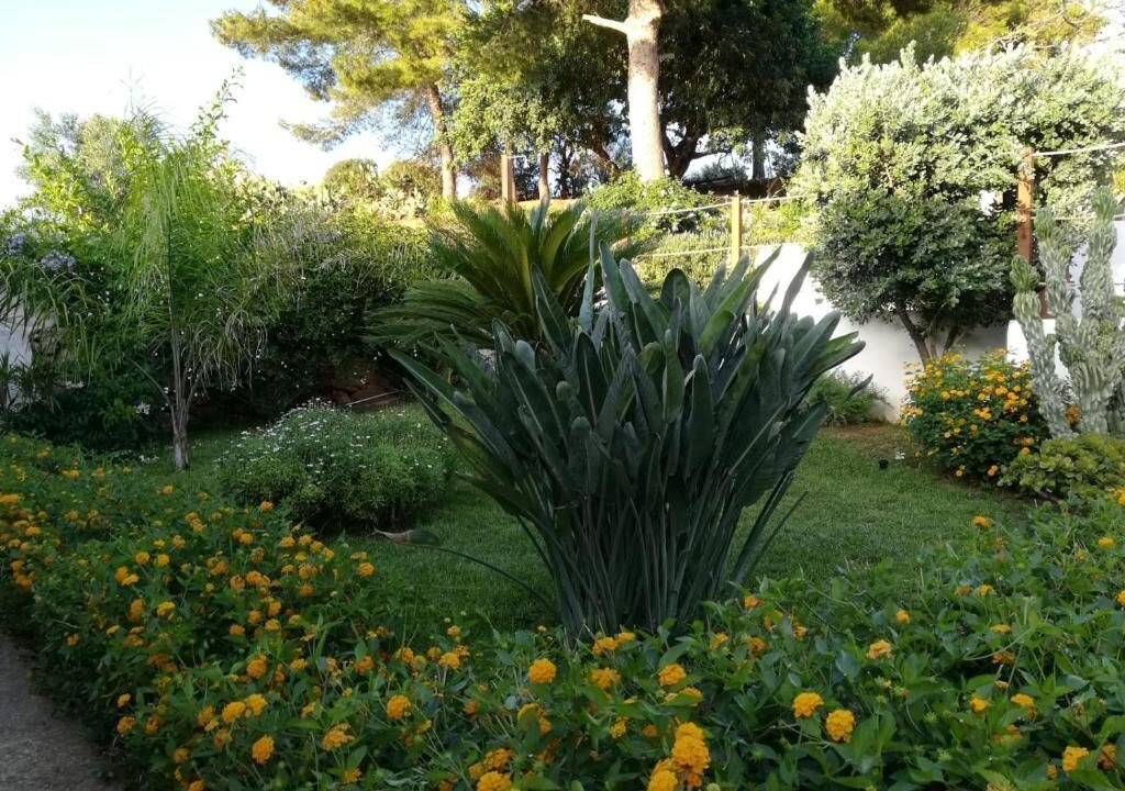 Photo of Outdoor in Rilievo